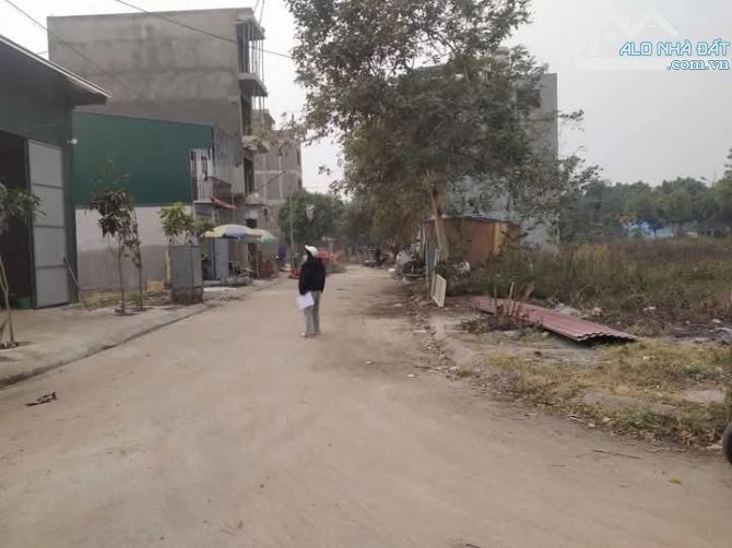 chính chủ bán 40m đất tái định cư Liên Ninh - 3
