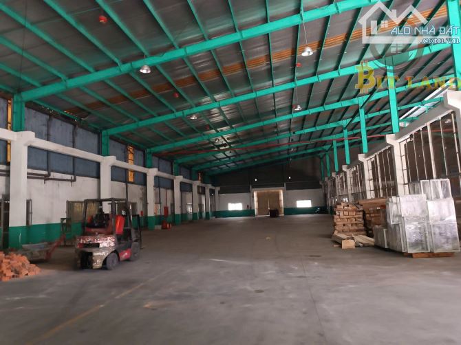 XT115 Cho thuê xưởng chuẩn đẹp – vị trí chiến lược – sẵn sàng vận hành ngay! - 3