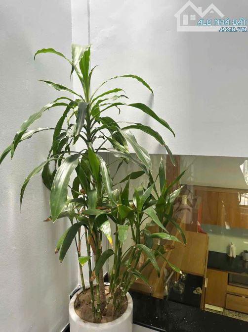 CẦN BÁN NHÀ 3 TẦNG GẦN ĐẠI HỌC FPT – NGAY BIỂN TÂN TRÀ, NGŨ HÀNH SƠN – VỊ TRÍ ĐẸP, GIÁ TỐT - 3