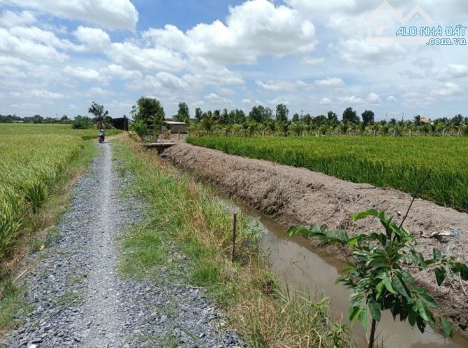 Hàng thơm, 600m2 đất vườn View Kênh Tân Trụ, chỉ 550tr - 3