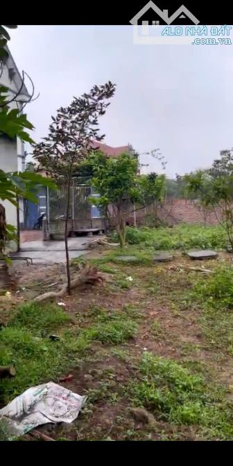 Bán 300m2 đất tại Tân Hương, Phổ Yên, Thái Nguyên - 3