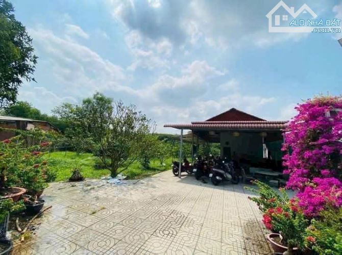 Bán nhà vuòn sổ riêng Bình Lợi Vĩnh Củu - 3