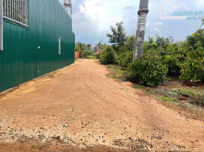 💥Đất TC 18*13,5m,hẻm Đg A1,Phạm Ngũ Lão thôn 6,nhiều lô khác - 3