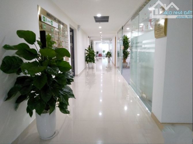 Cần chuyển nhượng 1-5 sàn thương mại/văn phòng Tố Hữu, cho thuê đạt ổn định - 3