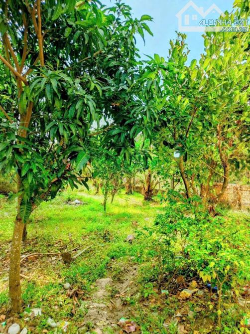Bán nhà vườn view đẹp ở đức hoà long an giá 2,850 tỷ - 4