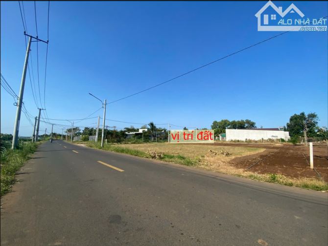 Bán 321m2 đất Thị Trấn Đất Đỏ, Long Đất, BRVT - 4