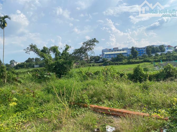 BÁN LÔ ĐẤT 80M2 THỔ CƯ NGAY CFE TÂY SƠN P.THÁI HÒA - 4