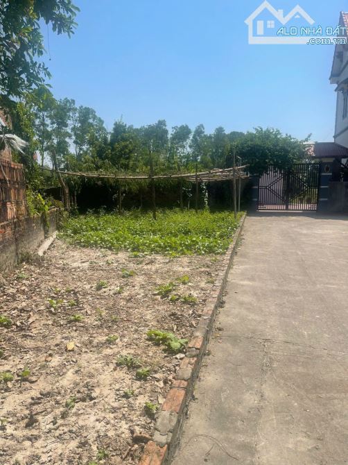 Bán 300m2 đất tại Tân Hương, Phổ Yên, Thái Nguyên - 4