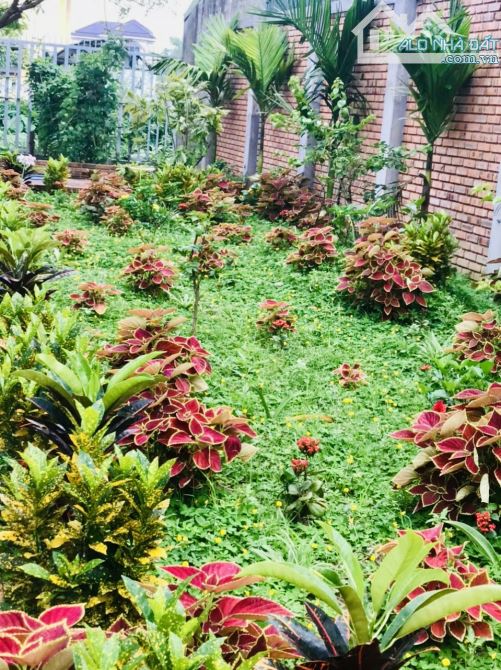 🕋🕋 Nhà vườn 2 tầng 193,5m2 Phạm Văn Đồng, Huế giá tốt - 10