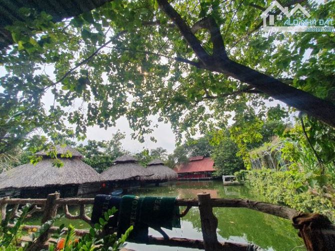 BÁN NHÀ HÀNG THỦ ĐỨC 14.000M2, ĐẸP NHƯ KHU DU LỊCH, DÒNG TIỀN 10 TỶ/TH. GIÁ 17 TRIỆU/M2 - 5