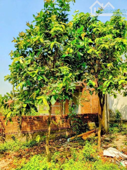 Bán nhà vườn view đẹp ở đức hoà long an giá 2,850 tỷ - 5