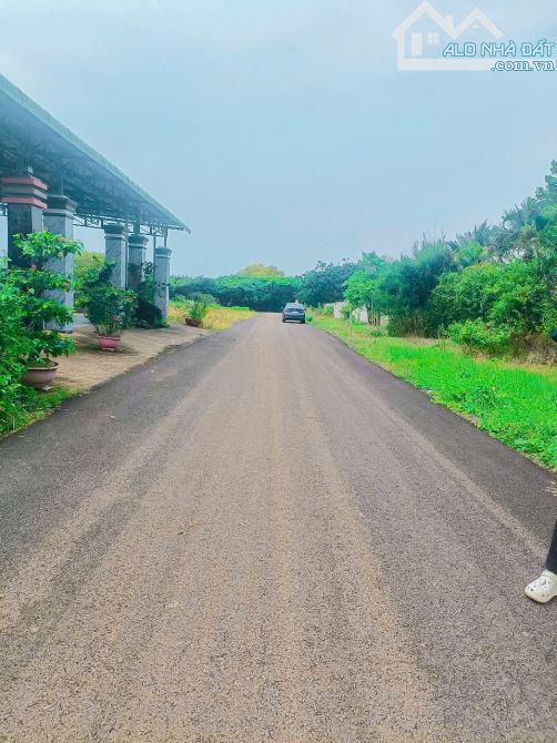 LÔ ĐẤT ĐẸP BIỂN HỒ TRÀM, NGAY SAU LƯNG KHÁCH SẠN LỚN NHẤT HỒ TRÀM, GIÁ CỰC KỲ HẤP DẪN - 7