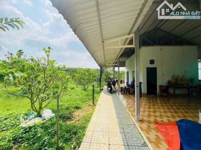 Bán nhà vuòn sổ riêng Bình Lợi Vĩnh Củu - 7