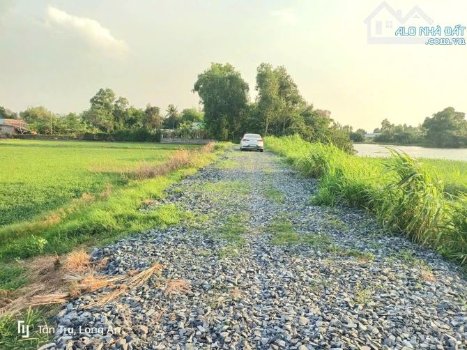 Hàng thơm, 600m2 đất vườn View Kênh Tân Trụ, chỉ 550tr - 8