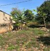 🅿️❇️ĐẤT BUÔN JU, EATU, MẶT ĐƯỜNG N6, KINH DOANH TỐT, 1,65 TỶ, 5mx55m❇️