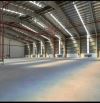 Cho Thuê Cụm Kho Sầu Riêng 12.000m2 Quốc lộ 26 - Krông Pắc - Đắk Lắk