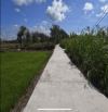 1.9 HA ĐẤT SÀO EAKAO giá 250 triệu/1 sào THUỘC XÃ EAKAO -TP-BMT
