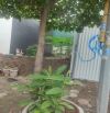 BÁN ĐẤT 50M2 CỔ NHUẾ MẶT TIỀN 6M, Ô TÔ VÀO NHÀ, GIÁ ĐẦU TƯ CHỈ 7.7 TỶ