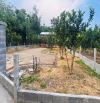 Chỉ 1,5 tỷ lô đất vườn 1000m2 Hoà Phú đường đi Núi Thần Tài Đà Nẵng
