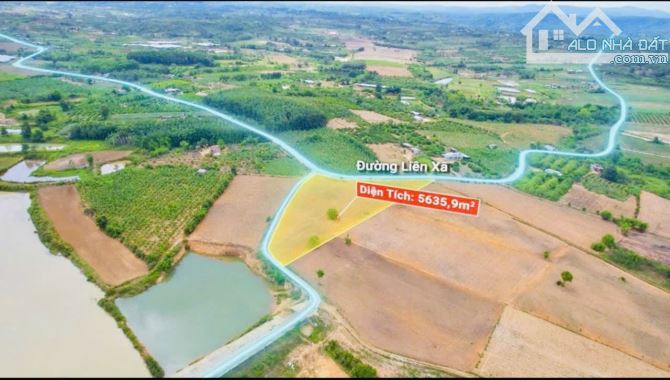 Bán 5,6 sào Xuân Phú view hồ mặt tiền đường ôm hết đất