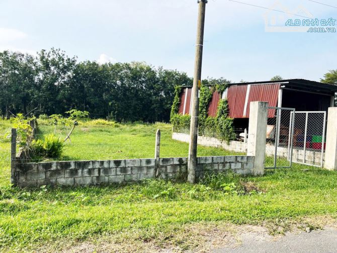 Bán đất 1/ đường Trương Thị Kiện – 1145m2 – 10×55 nở hậu 21m – 65m2 thổ cư – xã Thái Mỹ –