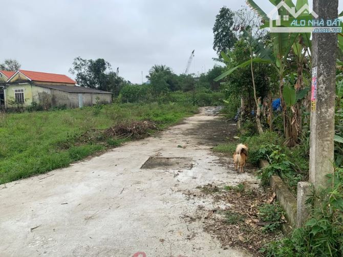 Đất Thuỷ Bằng kiệt Minh Mạng, tp Huế.