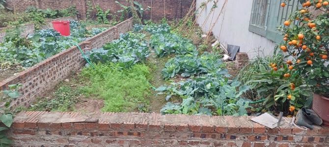 CHÍNH CHỦ BÁN ĐẤT THANH AM 40M2,CHỈ NHỈNH 4 TỶ,NGÕ Ô TÔ,GẦN PHỐ
