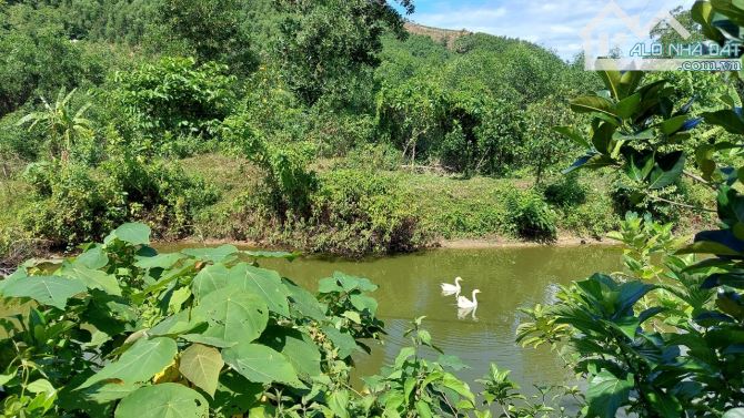 Đất nhà vườn rẻ đẹp suối sau nhà 1 tỷ 650tr/500m2