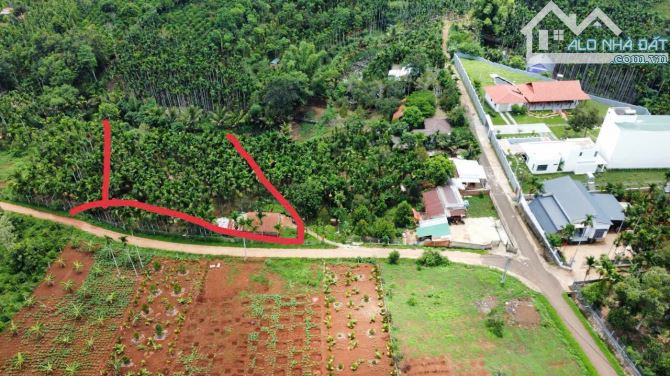 Bán HomeStay thôn 3 Ea Tiêu trên đất có nguồn thu
