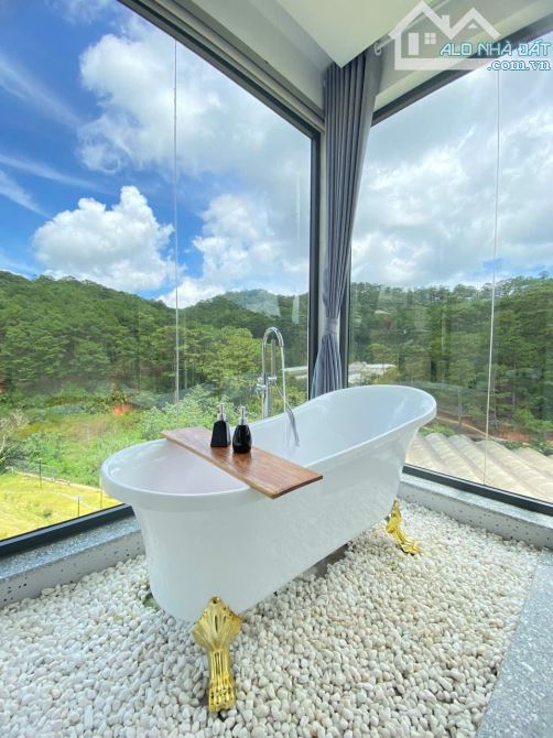 Bán căn homestay view rừng thông siêu đẹp🌲🌲- Hoàng Hoa Thám- P10 Đà Lạt