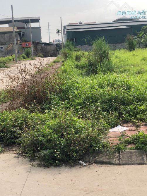 🔥 SIÊU HOT! BÁN LÔ GÓC KHU ĐẤU GIÁ – KHÁNH HÀ, THƯỜNG TÍN – 95.7M² – 6.4 TỶ 🔥
