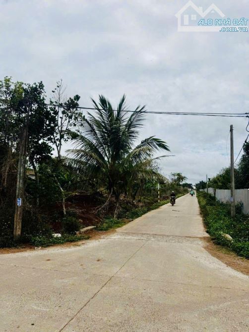 B.ÁN ĐẤT 25B ĐẠT LÝ -BMT: (7m x 25m, Thổ cư 100m2) = 1 tỷ 150 triệu