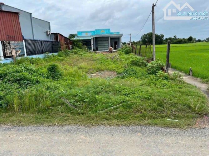 Mặt Tiền Nhựa Thị Trấn Đức Hoà,145m2 full thổ cư ,SHR Công Chứng Ngay.