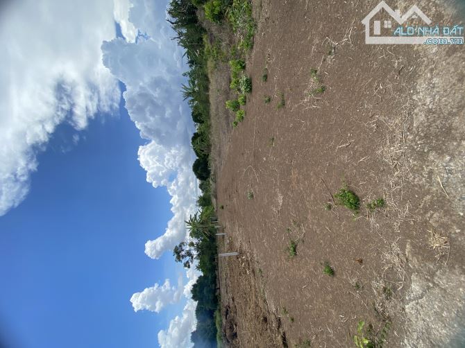 Bán đất sào thuộc Phước Long Thọ,huyện Đất Đỏ, Diện tích: 5640m2 - Giá: 12,5 tỷ