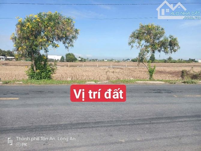 5×42 thổ mặt tiền nhựa cao thị mai ngay trường học Bình trinh_Tân trụ 1ty399 triệu rẻ nát