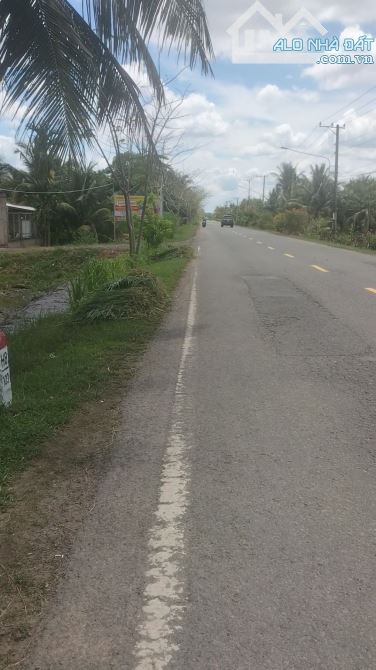 Cần Bán Gấp vườn Dừa 4000m² MT QL54 Cách Ngã 3 Cây Gòn 500m về hướng tiểu cần