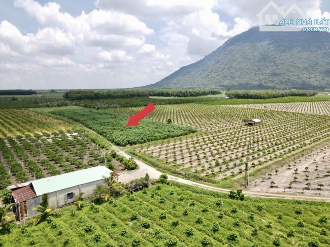 ✨ View đỉnh chóp, Diện tích thuộc hàng hoa khôi, Mặt tiền Ngang đến 25M x Dài 40M - 419TR