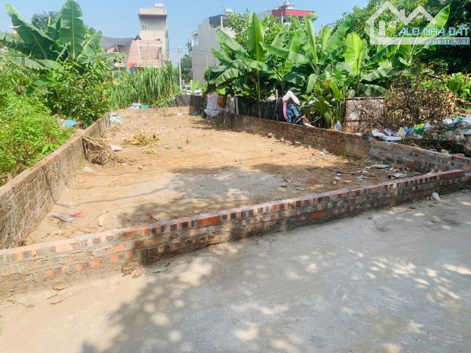 Bán đất 101m² Quan Âm - Bắc Hồng, Đông Anh – ô tô vào tận nơi, giá chỉ 6x triệu/m²