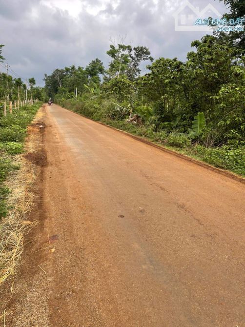 ❌❌KHÔNG CHÊ ĐƯỢC - Bán vườn Cư Mgar 9570m2 có 200m đường nhựa chỉ 4 tỷ 850 (cà phê, tiêu)
