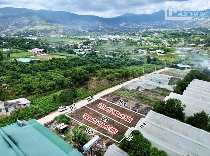 ✨ 2 NỀN THỔ CƯ LIỀN KỀ: Ngang 11M/ 11,7M ngay trung tâm Thị Trấn, View rừng thông - 1,4 TỶ
