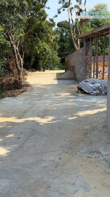🏡 BÁN ĐẤT PHƯỢNG ĐỒNG – PHỤNG CHÂU – VỊ TRÍ ĐẸP – ĐƯỜNG RỘNG Ô TÔ – GIÁ HỢP LÝ!!!