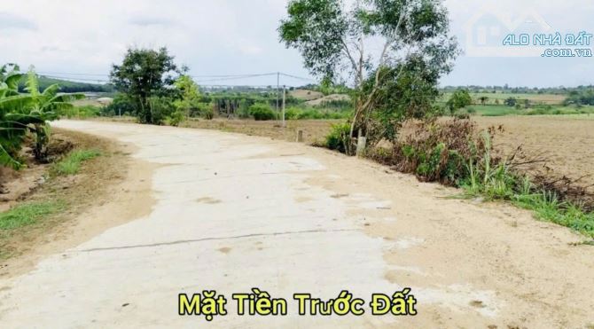 Bán 5,6 sào Xuân Phú view hồ mặt tiền đường ôm hết đất - 1