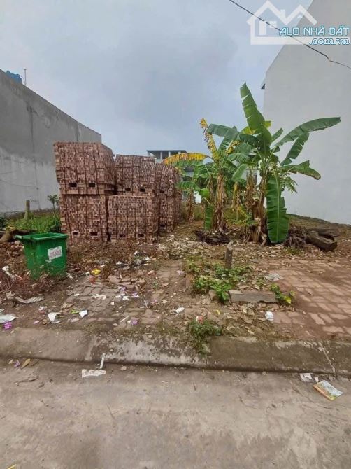 Bán lô đất Khu 5 Núi, Phường Đại Phúc, TP. Bắc Ninh. Giá 5.3 tỷ - 1