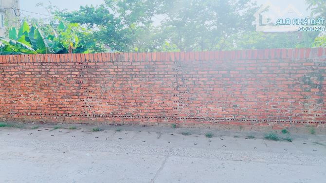 HOA HẬU PHÂN LÔ ĐƯỜNG THÔNG Ô TÔ TRÁNH KINH DOANH 410M NGUYÊN KHÊ ZÁ ĐẸP - 1