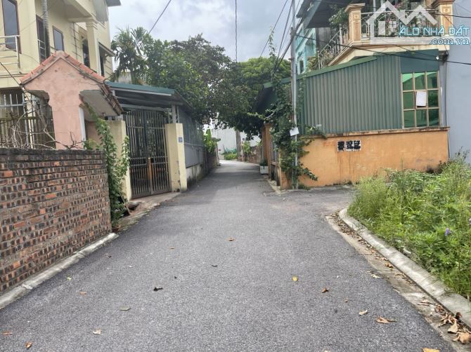 Bán 80m đất thôn 8 Đông Dư, ô tô 7 chỗ vào nhà, gần dự án Vinsafari dư địa lớn - 1