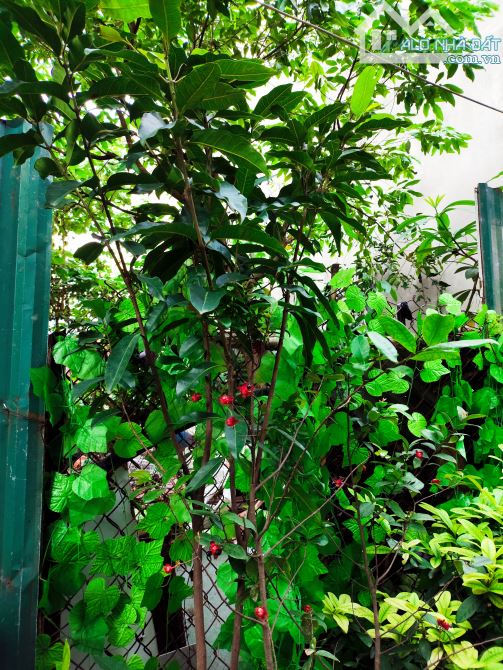 Đất Phân lô Ngọc Lâm 45m2 thông Nguyễn Văn Cừ Hồng Tiến - 1