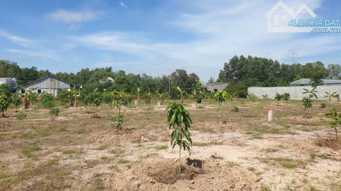 Vĩnh Thanh Nhơn Trạch đường xe hơi gần nút giao giá 1tr270/m2 - 1