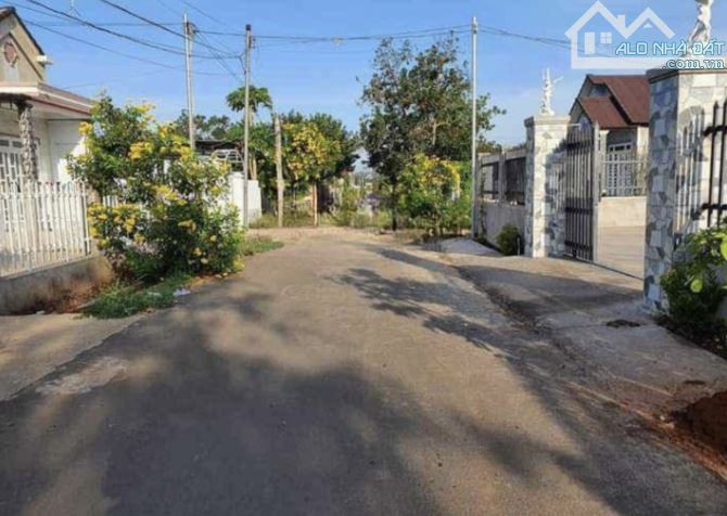 Bán đất tại Nguyễn Thị Se, 318m2, xã Tân Thông Hội, Củ Chi, HCM, giá 700Tr SHR - 1