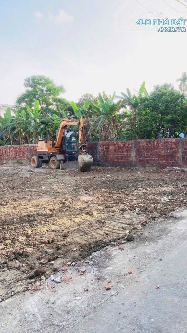 Đất kiệt Nguyễn Khoa Vy, cạnh trường tiểu học Vỹ Dạ, Huế. - 1