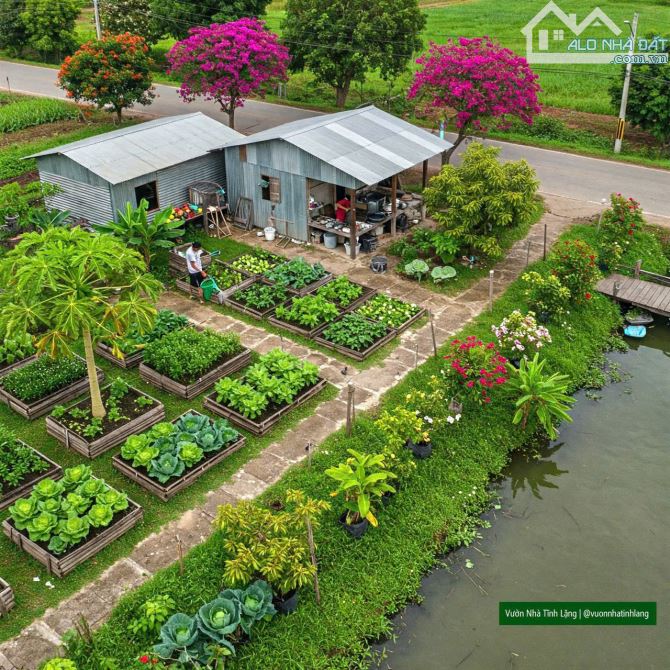 Đất nhà vườn rẻ đẹp suối sau nhà 1 tỷ 650tr/500m2 - 1